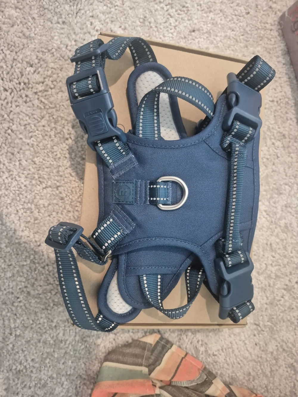 Blue Adjustable Harness Vest Size L- No Brand